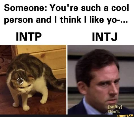 Mbti memes. Best Collection of funny mbti pictures on iFunny Intj Aesthetics, Intp Vs Intj, Intj Core, Intj Aesthetic, Intp Things, Intj Humor, Intp Personality Type, Intj T, Intj And Infj