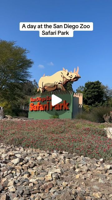 SoCal Travel Adventures ✨ on Instagram: "The San Diego Zoo Safari Park is not a regular zoo. It’s a great place to go and see animals in their natural habitat. There is so many acres of beautiful land that includes so many cool animals to see and native plants as well. 
I highly recommend visiting the San Diego Zoo Safari Park if you have not been before. and if you are planning a trip to San Diego, you want to visit this park in addition to the zoo because they are so different. 

Send this to someone you would like to come here with and don’t forget to like and follow for more San Diego fun Tips.

@sandiegozoo @sdzsafaripark

#safaripark #sandiegozoo #thingstodoinsandiego #animalconservation #sandiegoactivities #sandiegohiddengems #zoolife #zoogram" San Diego Safari Park, San Diego Activities, Trip To San Diego, See Animals, San Diego Zoo Safari Park, Cool Animals, Animal Conservation, Safari Park, San Diego Zoo