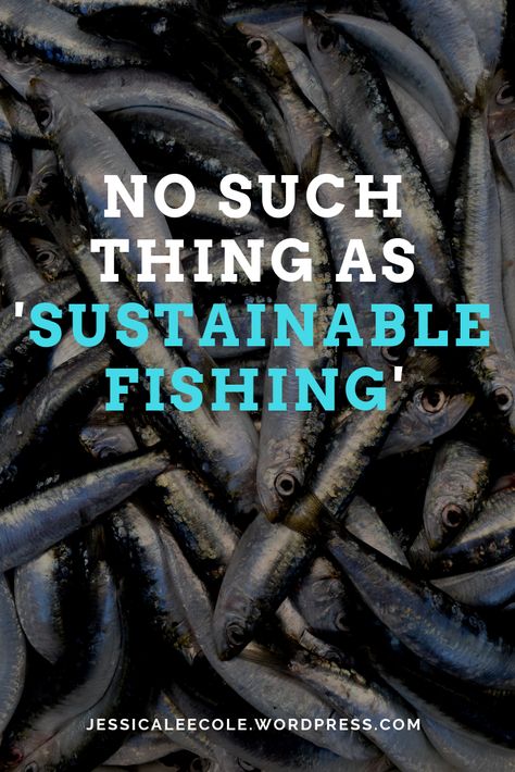 Fishing is not something we can continue doing - 'sustainable' or not. Read more about the impacts that fishing has on our oceans on my blog! Sustainable Fishing, Change For The Better, Green School, Fish Stock, Wake Up Call, The Verge, Change Is Good, The Environment, Wake Up