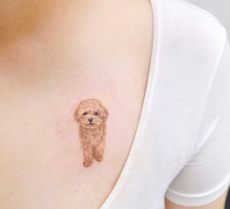 Cavapoo Tattoo, Goldendoodle Tattoo, Pet Portrait Tattoos, Pet Tattoo Ideas, Poodle Tattoo, Puppy Tattoo, Small Dog Tattoos, Pet Tattoos, Pretty Tattoo