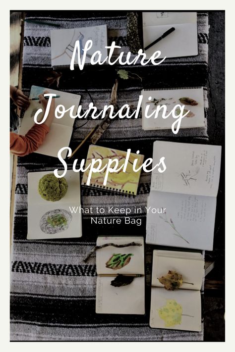 Homeschool Nature Journal, Homeschool Education, Nature Study, Nature Journal, Handmade Books, What To Pack, Nature Crafts, Amazing Nature, Book Journal