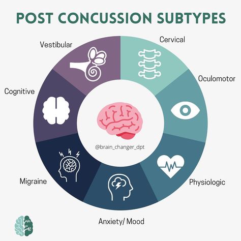 Brain Changer dpt on Instagram: “Did you know that there are a number of different body systems that can be affected after a concussion? #concussion…” Concussions Recovery, Post Concussion Syndrome, Brain Facts, Wellness Programs, Body Systems, Migraine, Physical Therapy, Healthy Habits, Assessment