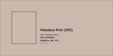 Benjamin Moore Meadow Pink (1011) Paint color codes, similar paints and colors Bm Meadow Pink, Benjamin Moore Meadow Pink, Meadow Pink Benjamin Moore, Munsell Color System, Analogous Color Scheme, Paint Color Codes, Rgb Color Codes, Room Things, Hexadecimal Color