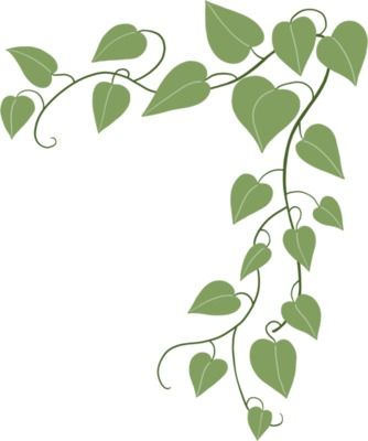 Ivy Pattern Design, English Ivy Drawing, Ivy Doodle, Ivy Sketch, Ivy Illustration, Ivy Drawing, Ivy Draw, Door Paintings, Poison Ivy Leaves