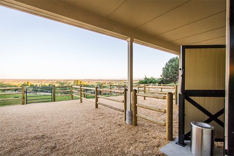 Horse Pens, Equestrian Barns, Stable Style, Horse Farm Ideas, Horse Paddock, Barn Hacks, Horse Barn Ideas Stables, Barn Stalls, Horse Shelter