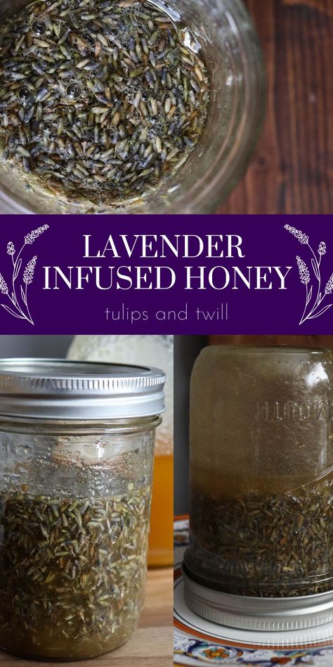 Enjoy the best of honey and lavender all in one! Herbal Infused honey is easy to make and worth the wait! Lavender Infused Honey, Honey Infusions, Herbal Honey, Herbs Recipes, Fermented Honey, Herb Life, Infused Honey, Herbal Education, Lavender Recipes