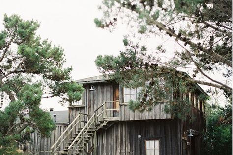 When the restaurant at Manka's Inverness Lodge in West Marin burned to the ground in 2006, devotees everywhere went into mourning. The good news is that the owners, Daniel DeLong and Margaret Grad, recently bought the nearby Olema Inn, where they will reprise their much-loved restaurant (even Prince Charles is a fan). Northern California Wedding, Lodge Wedding, Inverness, Calla Lily, California Wedding, Northern California, California, Design