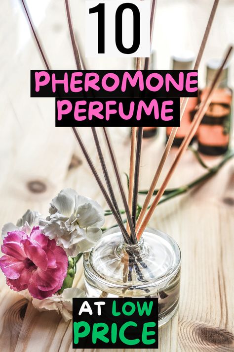 This blog is about finding the best perfume for women at the best price! I search for exemple : best valentino perfume, best dior perfume, best pheromone perfume, best perfume at low price, much more! I browsed the internet to find different prices for the same perfume so you dont have to look yourself! How To Make Pheromone Perfume, Pheromone Perfume Diy, Pheromone Perfume For Women, Best Cheap Perfume, Affordable Perfume, Valentino Perfume, Signature Perfume, Perfume Dior, The Best Perfume