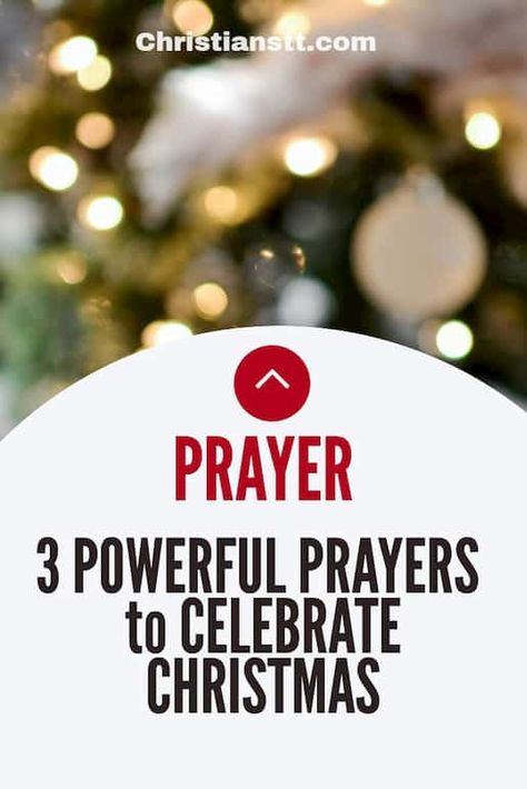 Christmas Prayers - 3 Powerful Prayers to celebrate Christmas - Prayer For Christmas Season, Christmas Day Prayer, Christmas Prayer For Kids, Christmas Eve Prayer, Christmas Dinner Prayer, A Christmas Prayer, Christmas Prayers, Food Prayer, Dinner Prayer