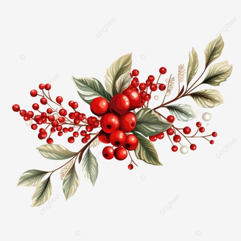 christmas branch isolated on white vector illustration festive plants for greeting designs pine le Winter Plants Illustration, Christmas Floral Illustration, Christmas Illustration Cute, Christmas Illustration Drawing, Christmas Design Graphic Illustration, Noel Illustration, Poinsettia Art, Free Christmas Printables Vintage, Christmas Illustration Design