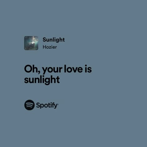 Hozier Lyrics Captions, Hozier Love Lyrics, I Love You In Hozier Lyrics, Hozier Captions, Hozier Quotes Lyrics, Hozier Sunlight, Hozier Quotes, Hozier Lyrics, Spotify Lyrics