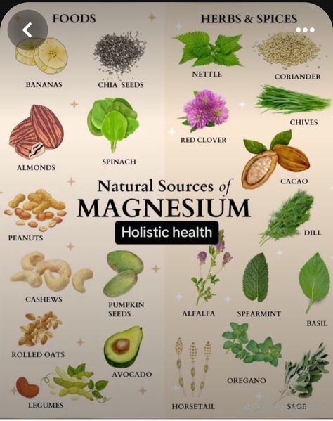 Sources Of Magnesium, Medicinal Herbs Garden, Medical Herbs, Food Health Benefits, Magic Herbs, Natural Healing Remedies, Herbal Healing, Home Health Remedies, Herbal Magic