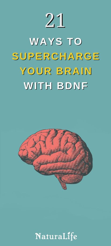 BDNF, or brain-derived neurotrophic factor, is an incredible protein that supercharges your brain. It’s one of the most important molecules for keeping you mentally sharp through all stages of your life. Click through to learn What are the Benefits of Increasing BDNF? #NaturaLife #Healthy #HealthyLiving #NaturalLiving #BDNF #BrainFacts Increasing Bdnf, Brain Food Recipes, Food For College Students, Brain Healthy Foods, Brain Foods, Curcumin Supplement, Brain Surgeon, Power Smoothie, Brain Facts