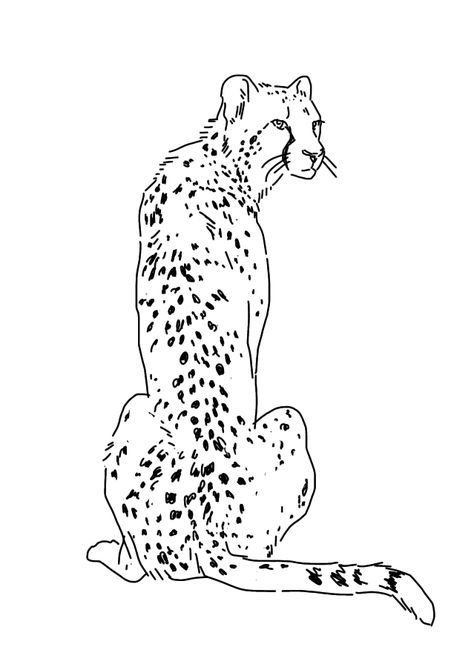 cheetah Cheetah Line Art, How To Draw A Cheetah, Cheetah Drawing Sketches, Cheetah Drawing Easy, Cheetah Outline, Cheetah Sketch, Leopard Sketch, Cheetah Painting, Mascara Oni