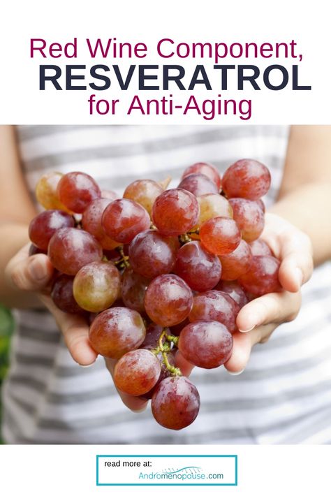 Everyone wants to stay looking and feeling youthful over the years, and a natural component found in grapes and nuts, known as Resveratrol, may be the key! Here’s a complete look at the anti-aging benefits of Resveratrol. Reservatrol Benefits, Resveratrol Benefits, Sport Supplements, Grapes Benefits, Amino Acid Supplements, Anti Aging Food, Coffee Benefits, Super Foods, Herbs For Health