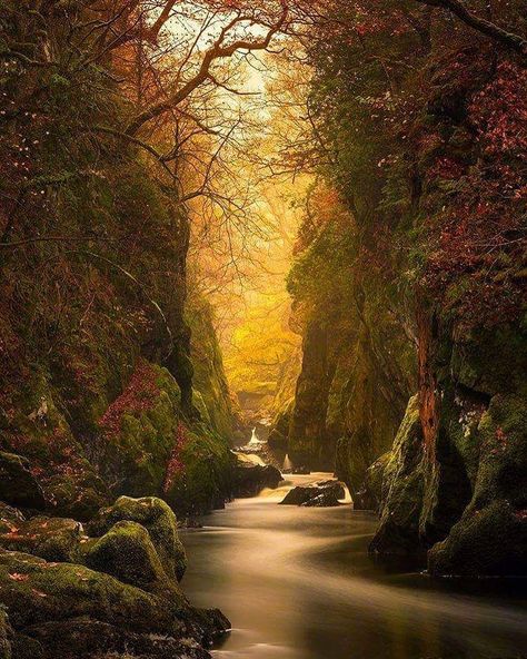 Explore creativeartstac's photos on Flickr. creativeartstac has uploaded 144 photos to Flickr. شرم الشيخ, Fairy Glen, Magical Places, Pretty Places, Amazing Nature, Nature Photos, Beautiful World, Beautiful Landscapes, Wonders Of The World