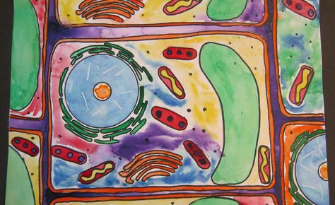 Cell Inspired Art Plant Cell, Graffiti Artist, Scientific Illustration, Art Appreciation, Camping Art, Science Art, Art Google, Magazine Art, Student Gifts