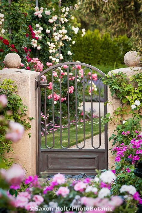 Metal garden gate on stucco pillars entry into rose garden;  in California country garden Metal Garden Gates, Garden Entrance, The Secret Garden, Iron Gates, Iron Gate, Gorgeous Gardens, Garden Cottage, Country Gardening, Gate Design