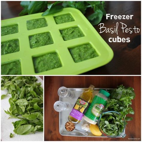 Freezer Basil Pesto Cubes | KitchenCents.com Pesto Cubes, Easy Basil Pesto Recipe, Easy Basil Pesto, Freezing Pesto, Basil Pesto Recipe, Herb Drying, Basil Pesto Recipes, Basil Recipes, Low Carb Sauces