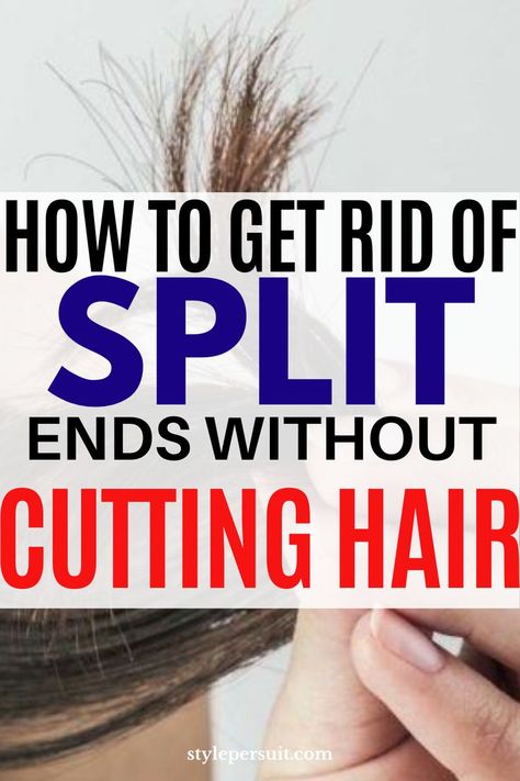 Stop Split Ends And Breakage, Hairstyles For Split Ends, How To Help Split Ends At Home, How To Prevent Split Ends Natural Hair, How To Get Rid Of Spit Ends, Split Ends Hair Mask, How To Get Rid Of Split Ends Overnight, Dry Split Ends Remedies, How To Fix Dry Ends Of Hair