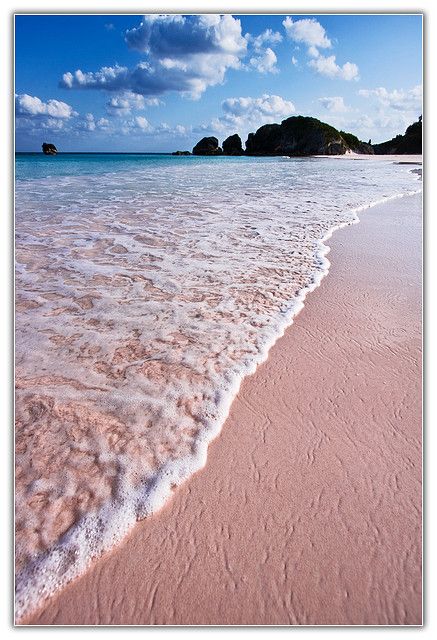 The pink sand of Horseshoe Bay Beach, Bermuda..The Pink Sand is the Real Deal.. Bermuda Pink, Horseshoe Bay, Pink Sand Beach, Pink Beach, Destination Voyage, Pink Sand, Pretty Places, Ocean Beach, Sedona