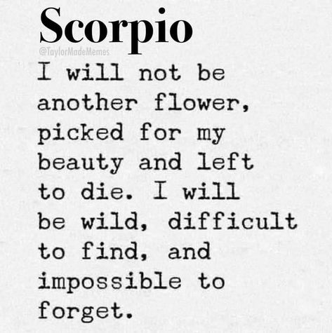 Scorpio Beauty, Scorpio Crushing, Scorpio Dating, Scorpio Motivational Quotes, Scorpio Things, Scorpio Eyes, Zodiac Meanings, Gemini And Scorpio, All About Scorpio