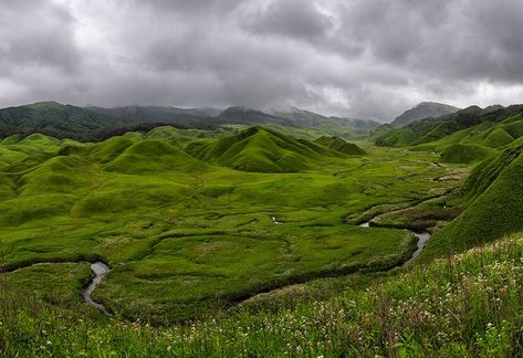 dzukou-valley_nagaland-tourist-places Dzukou Valley, Amazing India, Nat Geo, Wallpapers Iphone, Tourist Places, Travel Packages, Nature Photographs, Wild Life, Landscape Wallpaper