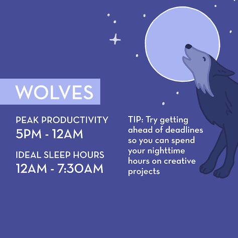 If you typically characterize yourself as a night owl, you may actually be a Wolf, along with 15 percent of people. This chronotype can be challenging if you work a job that requires you to be up early, but this tip from Murray can help: “It may feel counterintuitive, but wolves should exercise in the morning after breakfast to help stop their bodies from producing melatonin (the sleepy hormone) and produce cortisol instead (the alert hormone).” Sleep Chronotype, Hum Nutrition, Evening Workout, Intj Personality, Sleep Consultant, Health Routine, Productive Morning, Executive Functioning, Sleep Pattern