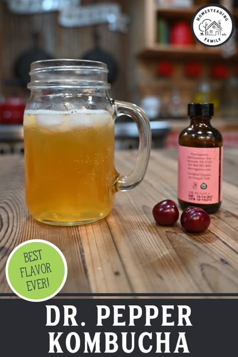 Probiotic Root Beer, Kombucha Second Ferment Recipes, Dr Pepper Kombucha Recipe, Cherry Kombucha Recipe, Blueberry Kombucha Recipe, Diy Dr Pepper, Kombucha Flavor Ideas, Second Fermentation Kombucha, Ferment Apples