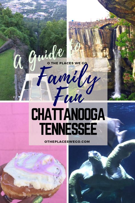 A guide to family fun in Chattanooga, Tennessee including attractions at Lookout Mountain, Tennessee Aquarium, and more. Lookout Mountain Tennessee, Tennessee Aquarium, Mountains Vacation, Vacation 2024, Tennessee Travel, Lookout Mountain, Best City, Family Outings, Weekend Adventures