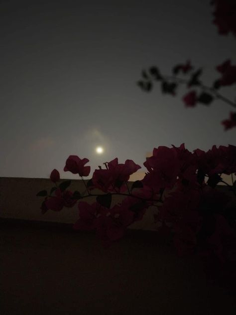 Love Night, Dark Skies, Iphone Photography, Full Moon, Enchanted, Terrace, Moon, Quick Saves, Art