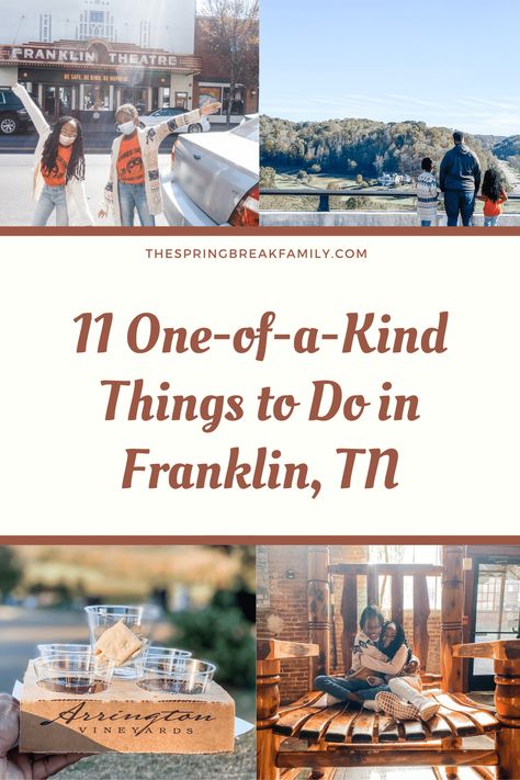 Things To Do In Franklin Tennessee, Things To Do In Franklin Tn, Franklin Tennessee Christmas, Downtown Franklin Tn, Franklin Tennessee Things To Do, Franklin Tn Things To Do, Nashville 2023, Travel Tennessee, Columbia Tennessee