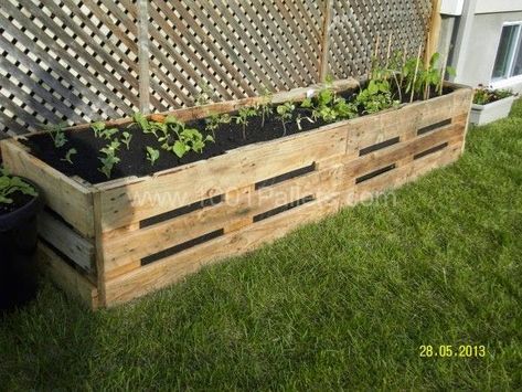 Planter Pallets Flowers, Pallet Garden Box, Pallet Projects Garden, Vegetable Planters, 1001 Pallets, Wooden Planter, Pallet Planter, Veg Garden, Pallet Garden