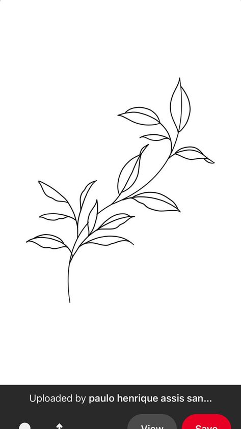 Flower Line Drawings Simple, Vine Drawing Simple, Vine Painting Simple, Vines Drawing Simple, Vine Illustration, Outline Pictures, Branch Drawing, Vine Drawing, Dorm Door