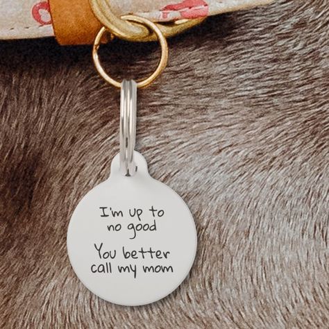 Cat Themed Accessories, Funny Dog Tags, Tag Ideas, Pet Pet, Call My Mom, Cat Funny, Id Tags, Dog Decor, Losing A Pet