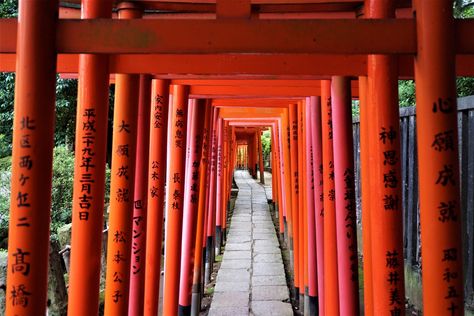 Nezu Shrine: Tokyo’s Most Underrated Shrine – Japan Travel Guide -JW Web Magazine Ueno Park, Fushimi Inari Taisha, Torii Gate, Shinto Shrine, Japan Travel Guide, Tokyo Tower, Historical Landmarks, Instagram Worthy, Gorgeous View