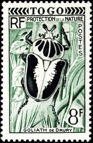 Togo 1955 Nature Protection | Goliath de Drury beetle | Designed by: Jean Pheulpin Post Stamp Art, Beetle Stamp, Bug Stamp, Goliath Beetle, طوابع بريد, Postage Stamp Design, Calendar Stamps, Postal Vintage, Old Stamps