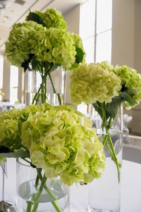 Hydrangea Centerpiece Diy, Tall Succulents, Floral Pictures, Succulent Centerpiece, Centerpieces Ideas, Hydrangea Centerpiece, Succulent Bouquet, Succulent Centerpieces, Large Centerpiece