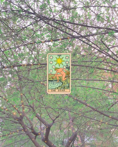 🌻 TAROT DEL SOL 🌻 on Instagram: “PRIMAVERA Esperanza, espiritualidad, inspiración y serenidad; Belleza, suerte, talento y transformaciónpersonal. La carta más bonita. .…” Enamel Pins, On Instagram, Instagram