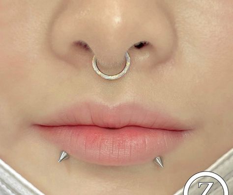 Spike Snake Bites, Snakebites And Septum, Snake Bites Studs, Septum And Snakebites, Snake Bites Piercing Jewelry, Snake Bites Piercing Aesthetic, Snake Bites Lip Piercing, Piercings Snake Bites, Snake Bite Piercing Tongue