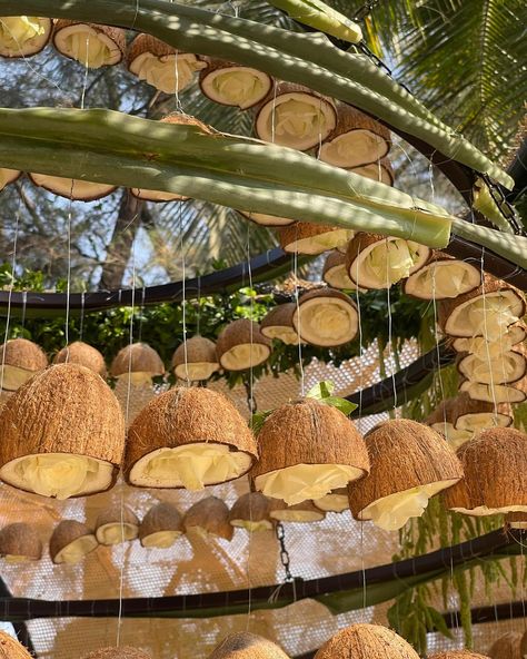 The joy of watching everything come together for our couple is unmatched. The houseboat-inspired mandap was a true blend of Kerala’s traditions and natural beauty. Hanging coconuts swayed gracefully, while the traditional malle poo flowers, symbols of femininity and womanhood, added a delicate touch. Planning and decor - @totheaisle_weddings 📸 - @theyellowdraft #ToTheAisle #ToTheAisleWeddings #WalkToTheAisle . #IndianWeddingdesigners #WeddingDecor #Decor #Taj #Devigarh #WeddingPhotography... Traditional Decor Wedding, Kerala Wedding Decor, Traditional South Indian Wedding Decor, Traditional Decoration Indian, Outdoor Hindu Wedding, Restaurant Reference, Sustainable Wedding Decor, South Indian Wedding Decor, Sangeet Decorations