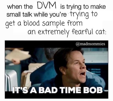 Veterinary Memes, Tech Vision Board, Veterinary Medicine Humor, Veterinary Humor, Medicine Humor, Vet Tech Humor, Vet Humor, Veterinary Tech, Vet Medicine