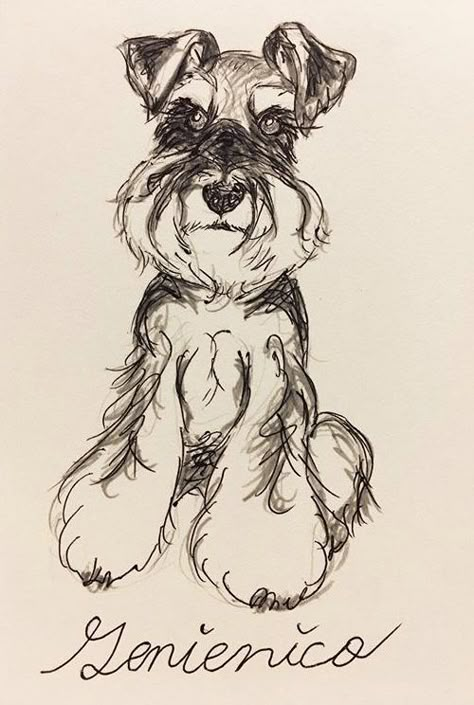 Schnauzer Dogs Drawing, Mini Schnauzer Drawing, Schnauzer Drawing Sketch, Schnauzer Line Drawing, Schnauzer Drawing Easy, Schnauzer Line Art, Schnauzer Sketch, Schnauzer Drawing, Pet Tattoo Ideas