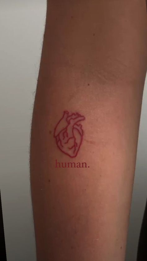 human anatomical heart red ink tattoo arm design idea Red Tattoo Arm, Heart Arm Tattoo, Real Heart Tattoos, Human Heart Tattoo, Red Ink Tattoo, Anatomical Heart Tattoo, Red Tattoo, Tattoo Board, Tattoos For Black Skin