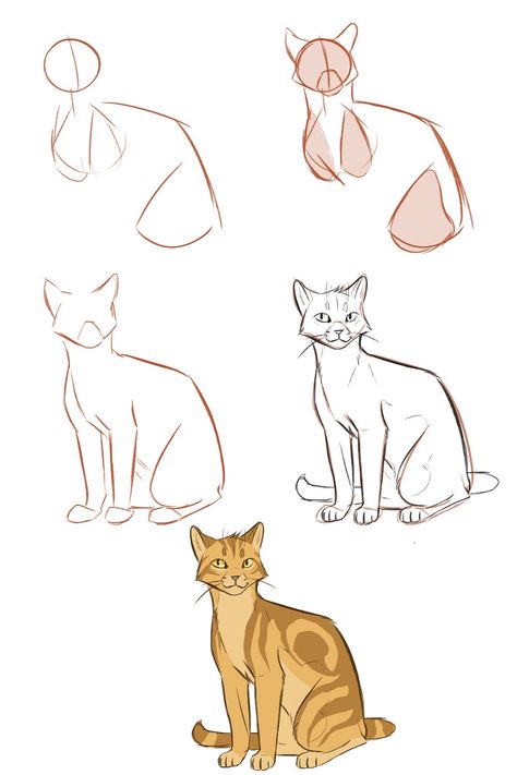 Cat Drawing Tutorial, Cats Art Drawing, Drawing Help, Cat Anatomy, Warrior Cats Fan Art, Warrior Cat Drawings, Cat Sketch, Warrior Cats Art, Cat Eyes