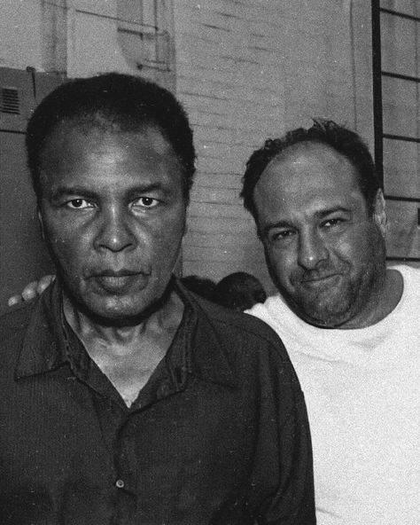 James Gandolfini, Famous Black, Muhammad Ali, White Picture, Black And White, Music, White, Black