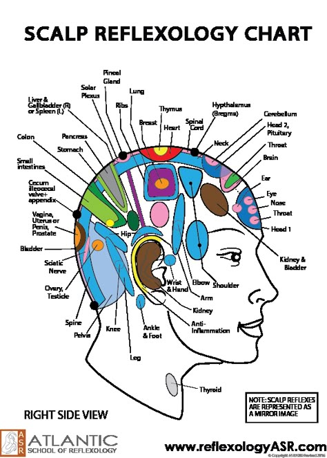 Human Body Pressure Points, Scalp Pressure Points, Facial Reflexology Chart, Face Reflexology Chart, Reflexology Pressure Points, Healing Reflexology, Ear Reflexology, Hand Reflexology, Massage Therapy Techniques