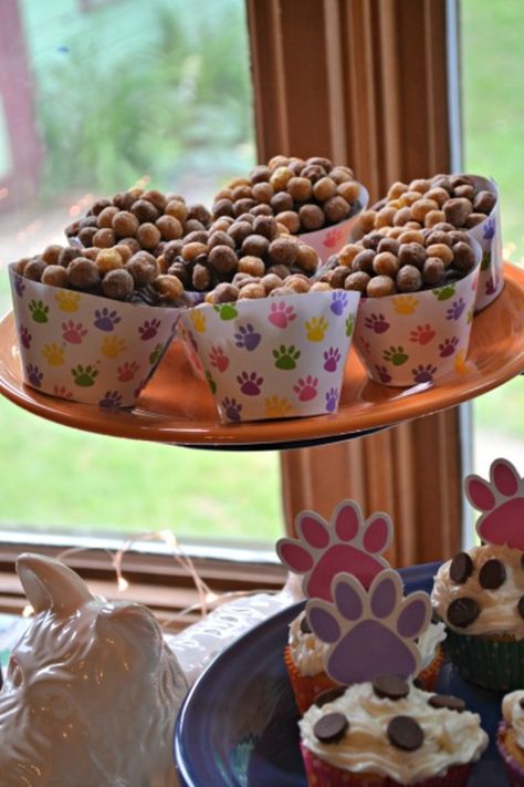 Puppy dog themed birthday cupcakes http://www.thedomesticgeekblog.com/2014/07/puppy-dog-themed-birthday-party.html Dog Themed Desserts, Vet Birthday Party, Dog Themed Cupcakes, Pet Adoption Party, Lila Party, Dog Themed Birthday Party, Dog Themed Parties, Birthday Party Snacks, Puppy Birthday Parties