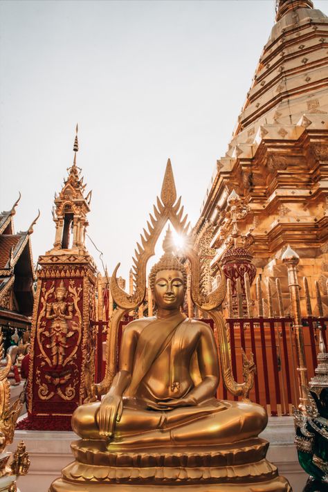 The complete Travel Guide to Chiang Mai, Thailand. Discover the best temples, sights and highlights. Plus: Our personal travel tips. Where to eat and where to stay in Chiang Mai. Temples In Thailand, Chiang Mai Temples, Chiang Mai Aesthetic, Chiang Mai Thailand Aesthetic, Chang Mai Thailand, Thailand Temples, Thailand Culture, Thailand Chiang Mai, Thailand Temple