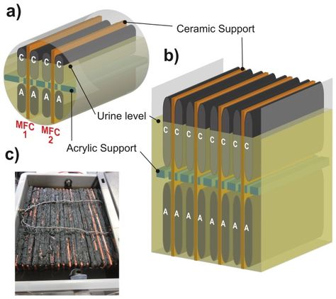 Can urine be used as a practical source of electricity? Guest blogger Xavier Alexis Walter discusses a recent advance in scaling up experimental microbial fuels cells that promise to do just that. Anaerobic Respiration, Chemical Energy, Green Tech, Electrical Energy, Human Activity, Surface Area, Fuel Cell, Free Energy, Home Audio